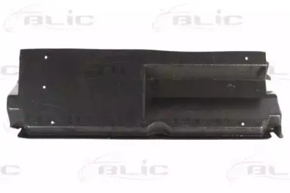 6601-02-5513861P BLIC Защита двигателя / поддона двигателя