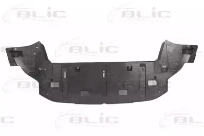 6601-02-5519880P BLIC Кожух двигателя