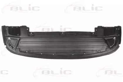 6601-02-6063880P BLIC Защита двигателя / поддона двигателя