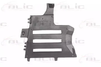 6601-02-9008872P BLIC Защита двигателя / поддона двигателя
