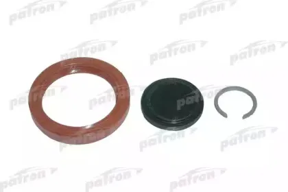 P18-0013 PATRON