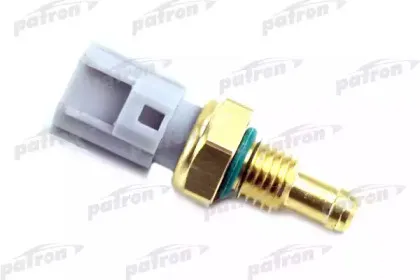 PE13017 PATRON