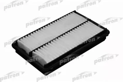 patron-pf1013