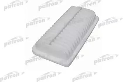 patron-pf1309