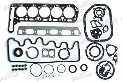 PG1-1002 PATRON Комплект прокладок, двигатель