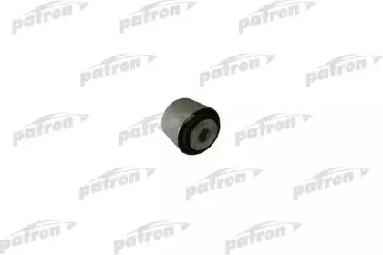 PSE10316 PATRON