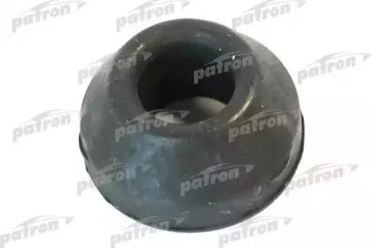 PSE1061 PATRON