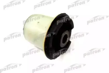 patron-pse1101