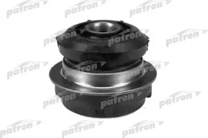 PSE1121 PATRON