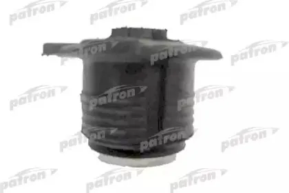 PSE1181 PATRON