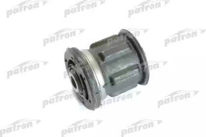 PSE1197 PATRON