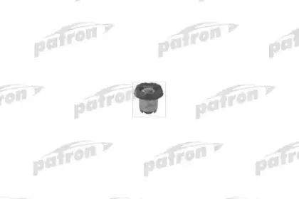 patron-pse1319