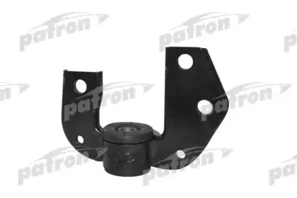 PSE1329 PATRON