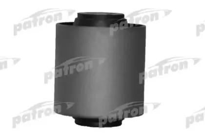 PSE1341 PATRON