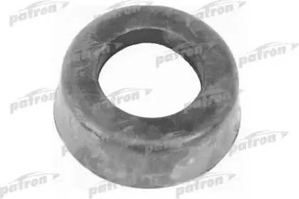 PSE2263 PATRON