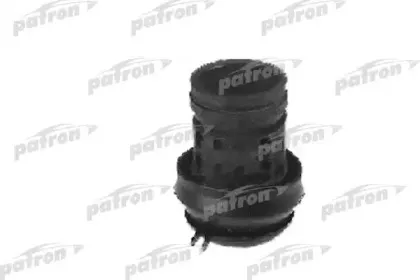 PSE3017 PATRON