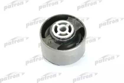 PSE3023 PATRON