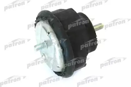 PSE3032 PATRON