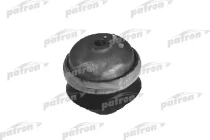 PSE3040 PATRON