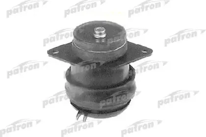 PSE3068 PATRON