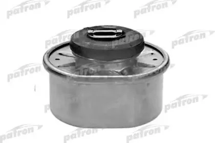 PSE3109 PATRON