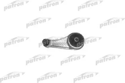 PSE3138 PATRON