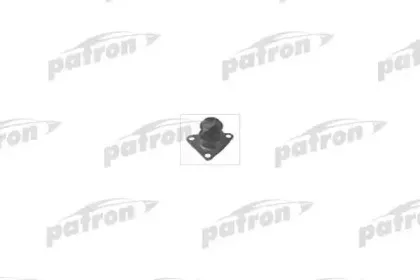 patron-pse3173