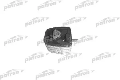 PSE3187 PATRON