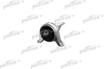 PSE3365 PATRON