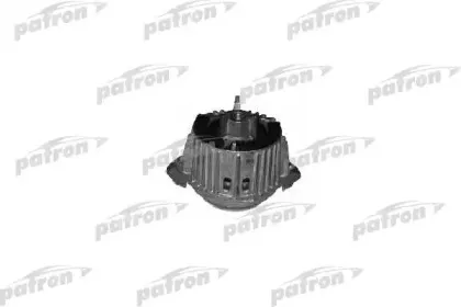 PSE3812 PATRON