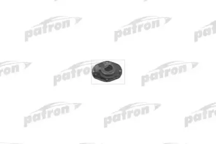 PSE4067 PATRON