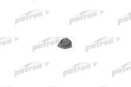 PSE4090 PATRON