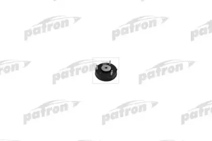 PSE4101 PATRON