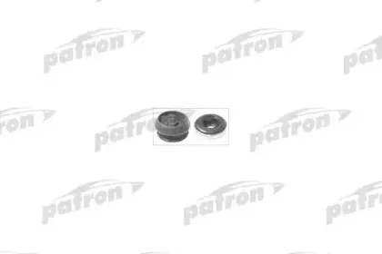 PSE4151 PATRON