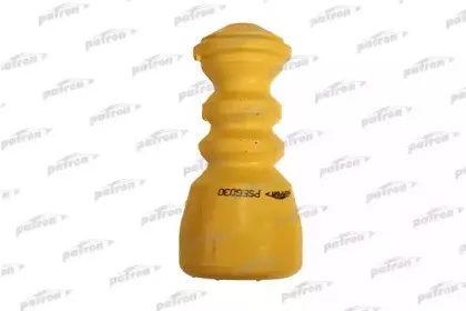 PSE6030 PATRON