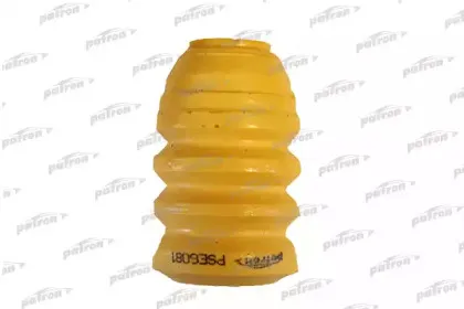 PSE6181 PATRON