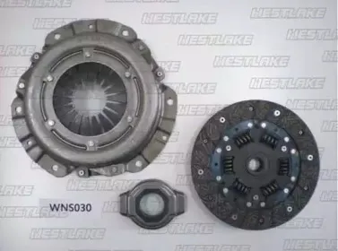 westlake-wns030