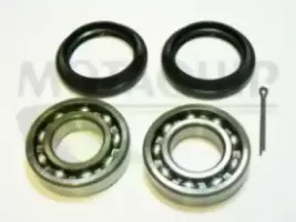 motaquip-vbk718