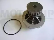 motaquip-vwp239