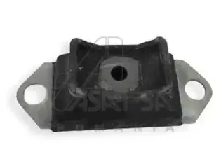asam-01336