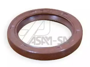 01337 ASAM