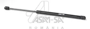 30230 ASAM