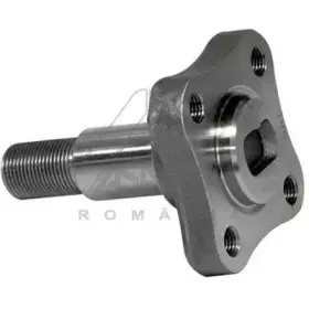 30247 ASAM Ступица колеса