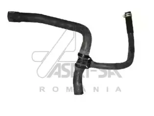 30391 ASAM Шланг радиатора