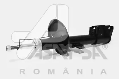 30948 ASAM