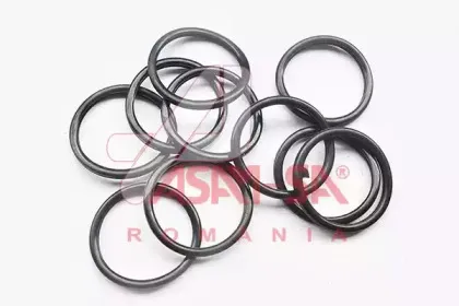 32601 ASAM Прокладка, термостат