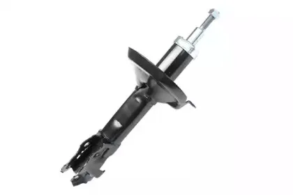 70451 ASAM