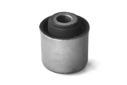 80669 ASAM Втулка, рычаг колесной подвески