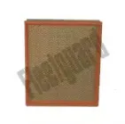 fleetguard-af25797