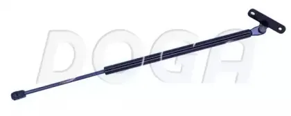 doga-2020533